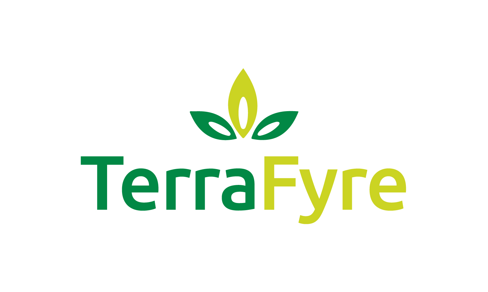 TerraFyre.com - Catchy premium domains